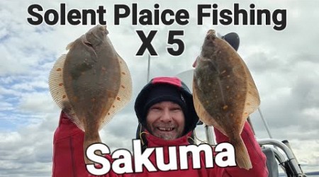 Solent Plaice Fishing Hillhead Plaice Fishing Sakuma Fishing Southcoast Southampton United Kingdom