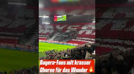 Krasse Choreo der Bayern-Fans vor dem Rückspiel gegen Man City #shorts