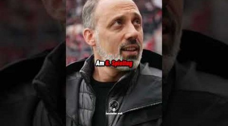 Das hat vor Matarazzo noch kein Bundesliga-Trainer geschafft 