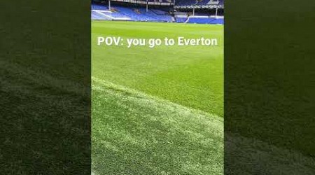 I went to Liverpool and got a stadium tour of Everton