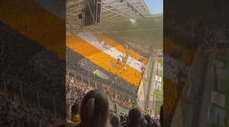 70 Jahre Dynamo Dresden Forza Dy-na-mo