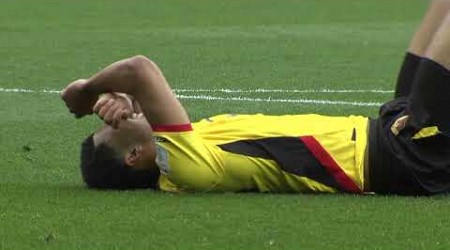 Watford v Stoke City highlights