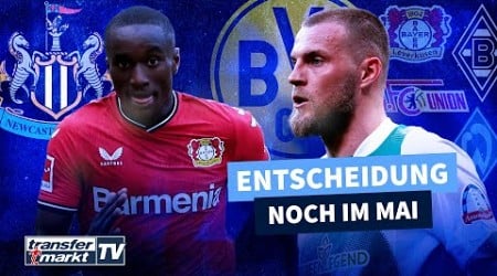 Newcastle will Diaby - Nach BVB-Gerücht: Ducksch-Entscheidung naht | TRANSFERMARKT