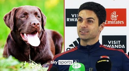 Arsenal have a training ground dog called &#39;Win&#39;! | Mikel Arteta reveals all about new club pooch 