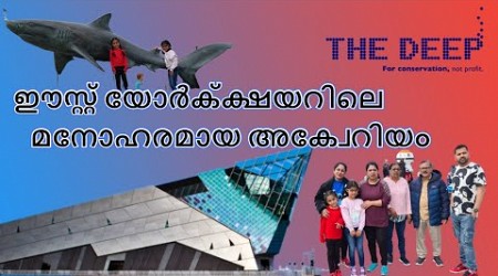 One of the best Aquariums in the world - The Deep, Hull City - Malayalam