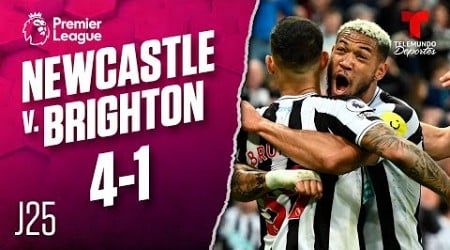 Highlights &amp; Goals | Newcastle United v. Brighton 4-1 | Premier League | Telemundo Deportes