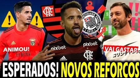 GRANDE CONTRATAÇÃO! TIMÃO ANUNCIARÁ CRAQUE EM BREVE!; EVERTON RIBEIRO ANIMADO!; 43 MI em REFORÇOS!