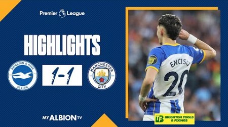 PL Highlights: Albion 1 Man City 1