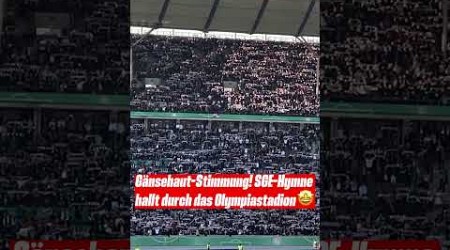 Gänsehaut-Stimmung! Eintracht-Hymne hallt durch das Olympiastadion #shorts