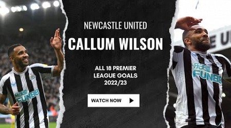 All of Callum Wilson&#39;s 18 Premier League Goals in 2022/23!