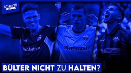 Holt Bremen Marius Bülter? Schallenberg auf der Liste, Pieringer in die Bundesliga? | S04 NEWS