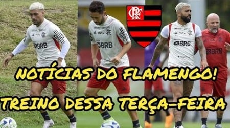 TREINO DO FLAMENGO HOJE! PEDRO É DÚVIDA PRO FLA FLU! EVERTON RIBEIRO TREINA NO CAMPO! DE LÁ CRUZ FLA