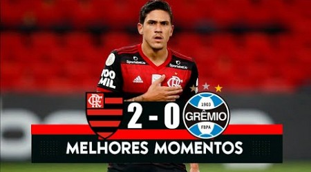 Flamengo 2-0 Grêmio | MELHORES MOMENTOS &amp; GOLS de EVERTON e PEDRO | Brasileirão 2023