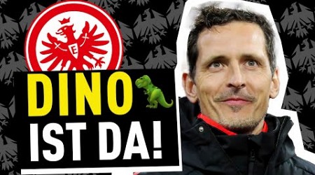 Bestätigt: Dino Toppmöller ist neuer Trainer von Eintracht Frankfurt! | Bundesliga News