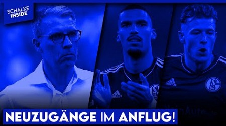 Ersten Neuzugänge sind im Anflug! Top-6 der Bundesliga &amp; 200 Mio. Kaderwert das Ziel! | S04 NEWS