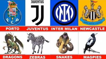 Football Clubs with Animal Nicknames⚽Roma,İnter Milan,Tottenham,Hull City,Juventus,Lazio !