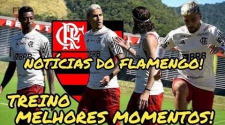 TREINO DO FLAMENGO! FLAMENGO PREPARA ANÚNCIO DO VOLANTE ALLAN! ENTREVISTA COM EVERTON RIBEIRO!