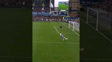 Seamus Coleman catches EVERYONE by surprise with goal against Leeds 