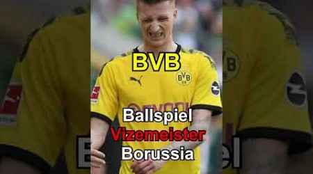 Für was steht eigentlich BVB. #fcbayern #bundesliga #fussball #bvb #dortmund