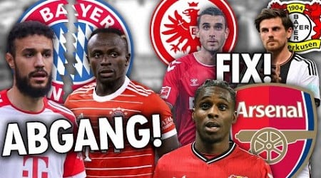 Sadio Mane will nach Saudi-Arabien! PL-Klub wildert in der Bundesliga! FIXE BuLi-Transfers!