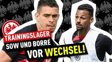 So soll der Kader von Eintracht Frankfurt aussehen | Bundesliga News