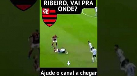 OLHA A JOGADA DO EVERTON RIBEIRO.