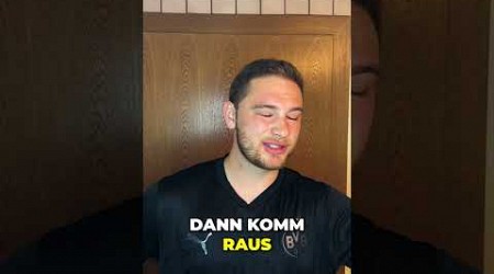 Verletzungspech beim BVB 