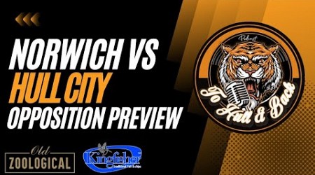 Norwich City Vs Hull City - Opposition Preview with The Pink Un