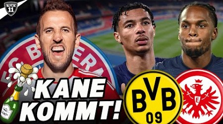 KANE-ANGEBOT AKZEPTIERT! 3 PSG-STARS in die BUNDESLIGA? | TransferNews