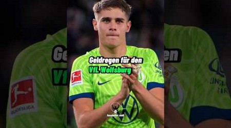 Geldregen für den VfL Wolfsburg 