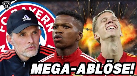 3 NEUE BAYERN-KANDIDATEN! OLMO in die PREMIER LEAGUE? | TransferNews