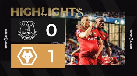 Super sub Sasa Kalajdzic wins it for Wolves! Everton 0-1 Wolves | Highlights