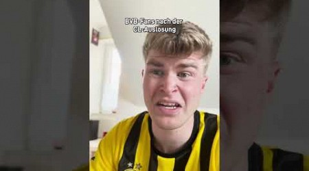 Wie es sich derzeit anfühlt BVB-Fan zu sein #bvb #heidenheim #borussiadortmund #fussball #bundesliga