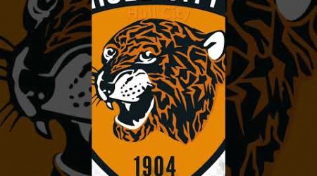 Hull city