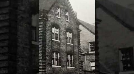 #hull house america&#39;s first settlement house in Chicago to help imigrant learn about American life