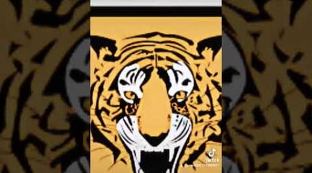 hull city till I die