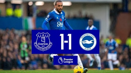 PREMIER LEAGUE HIGHLIGHTS: EVERTON 1-1 BRIGHTON