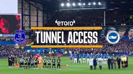 BLUES&#39; PROGRESS CONTINUES + REMEMBRANCE TRIBUTE AT GOODISON | Tunnel Access: Everton v Brighton