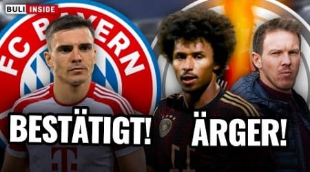 Winter-Transfer von PALHINHA zu Bayern FIX? DFB-ÄRGER bei Karim ADEYEMI!