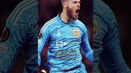 Newcaslte segera datangkan De Gea? 