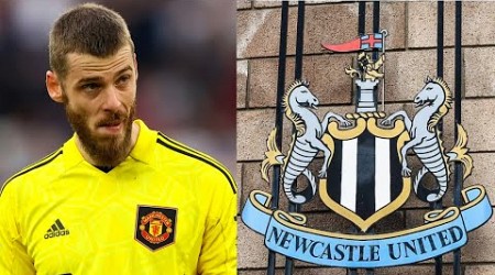 NEW CASTLE IS INTERESTED IN FORMER MANCHESTER UNITED GOALKEEPER