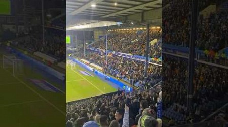 Sheffield Wednesday Fans Sing ‘Mauled by the Wednesday’ after 3-1 Win vs Hull City