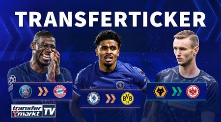 Bayern an Mukiele dran / Maatsen vor BVB-Transfer / Frankfurt leiht Kalajdzic | TRANSFERMARKT