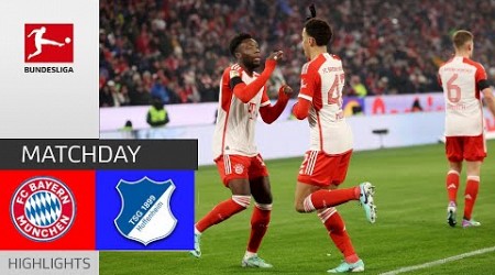 Bayern München - TSG Hoffenheim | 3:0 | Zusammenfassung | Bundesliga 2023-24 | bayern hoffenheim