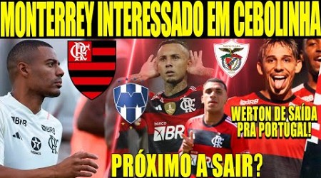 MONTERREY INTERESSADO EM EVERTON CEBOLINHA! WERTON DE SAÍDA PRA PORTUGAL! PETERSON É O PRÓXIMO? E+