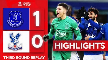 Gomes Freekick Seals Fourth Round Spot! | Everton 1-0 Crystal Palace | Emirates FA Cup 2023-24