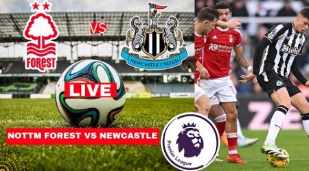 Nottingham Forest vs Newcastle 2-3 Live Premier League Football EPL Match Score Highlights Vivo