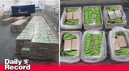 Massive UK drugs bust sees largest class A haul worth £450 million found in banana shipment