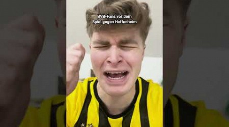 BVB-Fans vor dem Spiel gegen Hoffenheim #fussball #bundesliga #bvb #dortmund