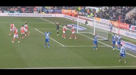 Rotherham United 0 VS Sheffield Wednesday 1 Yorkshire Derby EFL Championship Match Highlights